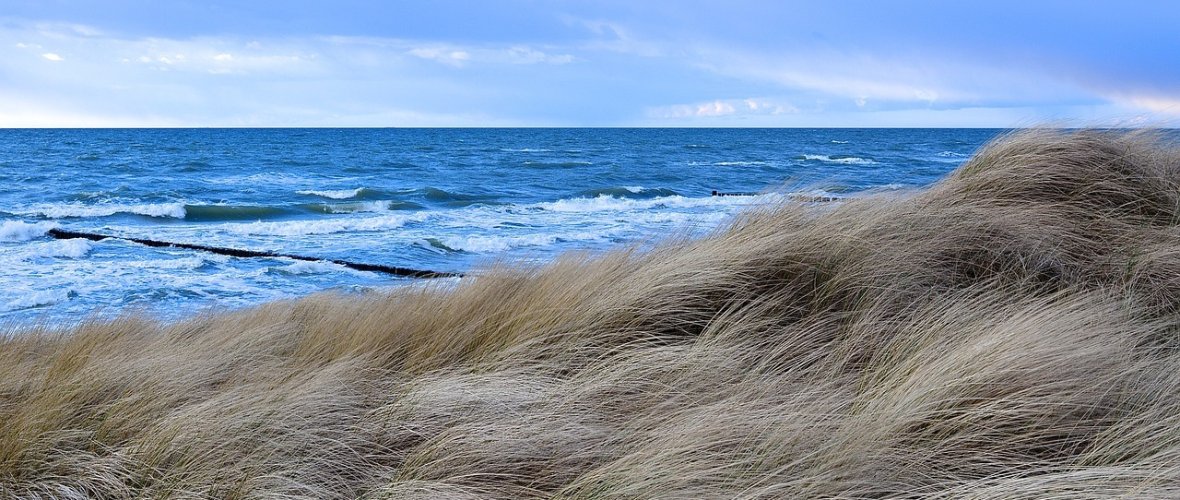 Strandblick in Ahrenshoop